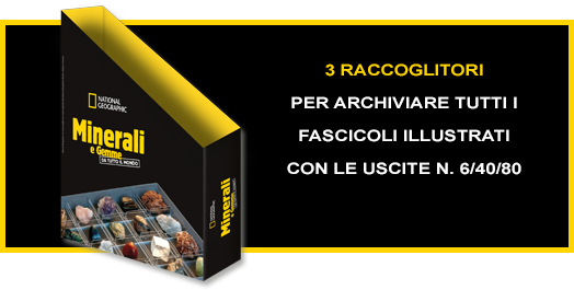 5 ESPOSITORI