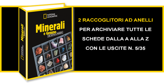 2 RACCOGLITORI AD ANELLI